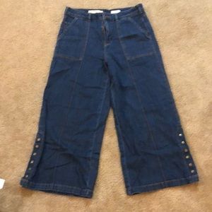 Anthropologie Pilcro Button Bottom Medium Wash Flared Wide Leg Jeans